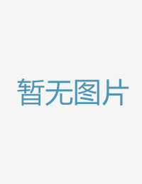 艺术赤身具有细微寻龙剑侠赖布衣 电视剧